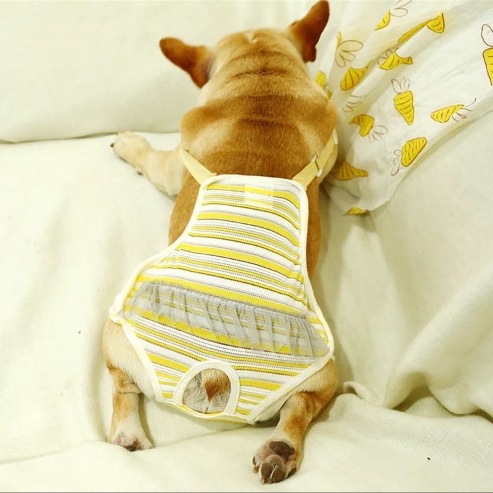 Physiological suit for dogs
